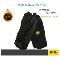 Winter equestrian gloves Italy Arma lambskin riding gloves warm and abrasion resistant anti-slip gloves equestrian items