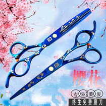 Japanese cherry blossom hairdresser set hair stylist special hair thin cut blue 6 inch flat tooth scissors combination