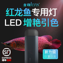 Jiyin Arowana color light Red Arowana light Fish tank special light led light Waterproof diving lighting brightening hair color light