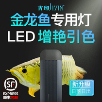 Jiyin dragon fish special lamp professional dragon fish tank lamp golden dragon fish lamp LED light color color waterproof hair lamp