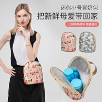 Mummy bag 2021 new small baby out milk powder bottle storage bag out breast pump storage bag