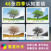 Four seasons cognitive card spring summer autumn and winter season cards autistic children rehabilitation training materials aba teaching aids full set