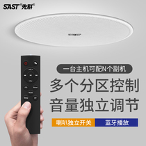 Senko D30 partition wireless Bluetooth suction top sound ceiling sound ceiling speaker home living room TV 3D surround embedded commercial indoor shop restaurant wall-mounted wall heavy bass horn smarts