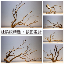 Rhododendron sunken tree branches tree-shaped skeleton fish tank landscape root stump boutique trumpet Moss tree natural flower arrangement