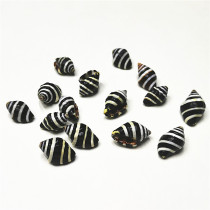 Natural conch shell 1-2cm black zebra snail small black snail fish tank aquarium decoration microscopic landscaping DYI drift bottle