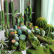 ins Simulation cactus fake cactus small pot fleshy desktop flower pot decorative landscaping green plant small ornaments