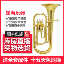 Sub-tone instrument B- flat triple key sub-tone sub-tone sub-tone small Balliton brass instrument sub-tone