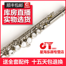 Xinghai golden sound flute JYFL-E150S 16 closed hole silver-plated flute C- tune flute instrument