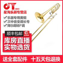 Golden tone tenor tone-controlled trombone down B- to-F-tone JYTB-E130G light body box tie rod trombone