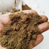 Ai leaf bag foot powder to cold wet and warm bath old cold leg soak Ding Gui Chuanxiong