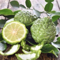 Ruyi ~ one-way bergamot essential oil 10ML