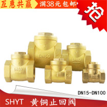Pipe valve with brass double wire horizontal anti-backflow check valve check valve DN15-DN100