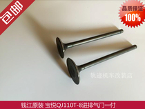 Qianjiang Motorcycle Baoyue QJ110T-8A V Yue QJ110T-11A valve intake valve exhaust valve pedal