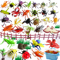 Soft plastic simulation insect animal model set Crawling beetle Butterfly Dragonfly Spider Childrens toys Cognitive teaching aids
