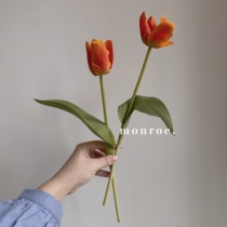 MONROE Dream Deer Studio Tulip Emulation Flowers Single Photo Props Fake Flowers Retro Han Style Little Fresh