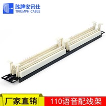  Telephone wiring rack 100 to 110 voice jumper Network wiring organizer 19-inch rackmount