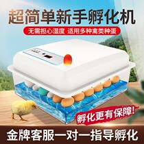 Incubator Incubator Automatic Small Home Incubator Smart Little Chicken Duck Goose Pigeon Quail Incubator