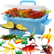 Simulation Insect Animal Model Toy Doll Butterfly Spider Dragonfly Ladybug Plant Early Teach Cognitive Children Gift Bag