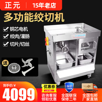 Zhengyuan electric multi-function meat grinder commercial stainless steel quick dismantling 2200W Dual Motor slitting machine cabinet type large