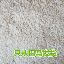 Bama specialty indica glutinous rice long glutinous rice white glutinous rice small glutinous rice River rice grains 500 grams