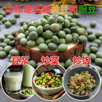 Large-grain green beans green beans large-scale green beans farmers self-grown green beans dry green beans 5kg