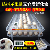 Turtle egg incubator without medium stone money turtle water tortoise lizard snake guard Palace climbing pet egg anti-shake incubator