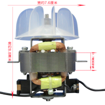 AC AC copper wire general hair salon professional high-power hair dryer accessories barber shop hair dryer 17 angle motor