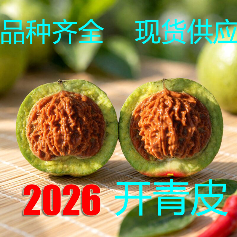 精品收藏级文玩核桃-精品收藏级文玩核桃促销价格、精品收藏级文玩核桃