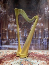 40-string harp Classical column harp Grand harp Chromatic key harp