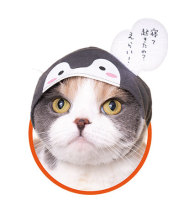 Day single Qi Tan cat exclusive headscarf Christmas hat cat decoration headgear fifth P
