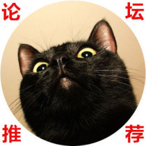 Cat stomatitis cat stomatitis ulcer pet gums red glossitis clean halitosis drooling mouth A