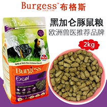 Winnie Shop-UK Imported Burgus Guinea Pig Grain Dutch Pig Feed Black Gallon Flavor 2kg Spot