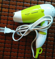 One leaf gift hair dryer Feike hair dryer health soft wind mode folding handle two winds