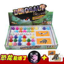 Dinosaur Egg toy model new strange bubble big expansion deformation small toy creative children bubble water Hatching Egg toy