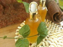 Old camellia oil baby skin care tea seed oil Vietnam border wild camellia oil red butt white tea oil for external use