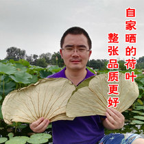 Lotus leaf whole dry lotus leaf cut small piece message tangerine peel lotus leaf tea in lotus leaf lotus leaf chicken special lotus leaf 500g