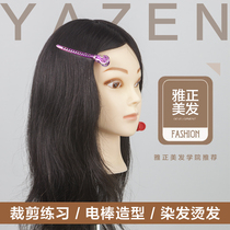 Full true hair head model head can be hot dyeing and hot roll blowing hairdressing mold head dummy head model plate hair woven hair real hair