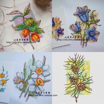 Small house cross stitch DMC line Four Seasons plant simple handmade gift flower photo wall decoration painting