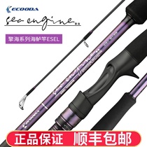 ECOODA Ikoda Qing sea sea bass rod New straight handle gun handle Fuji carbon Luya Rod sea fishing rod