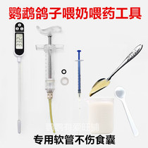 Parrot Special Feeding Spoon Tool Syringe Infant Bird Dove Milk Powder Thermometer Needle Tube Feeder Scale Cup