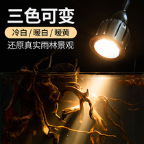 yee fish tank spotlight South American landscaping special light Sanhu viewing original cylinder spotlight fish tank light South American cylinder spotlight