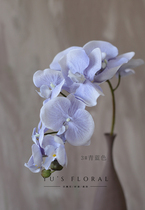 Simulation flower simulation imported butterfly Lammorandi color series European and American style home decoration soft dress Chen set