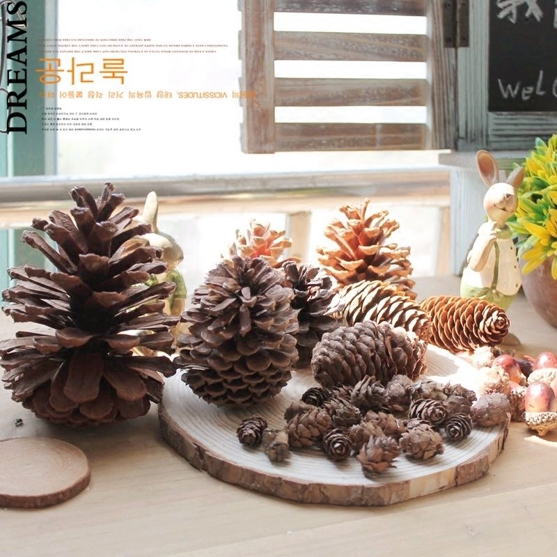 zakka nature wild pine nut pine tower dry flower home decoration shooting prop decoration environmental protection