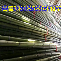 Long bamboo pole 2 5 meters 3 meters 4 meters 5 meters 6 meters Bamboo pole Thick bamboo pole Mao bamboo dance rack climbing pergola flagpole bamboo
