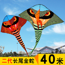 Weifang 2020 new long tail golden snake kite adult large triangular breeze Easy to fly beginner Baofei green snake fire snake