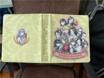Jiangdong produced goddess series Card exclusive card book limited edition does not include card pages