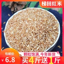 Terraced red rice 500g Yunnan farmhouse red brown rice Red hard rice red rice germ rice germ rice coarse grains