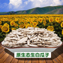 Xinjiang original white melon seeds toothpicks horse teeth raw melon seeds sunflower seeds new wholesale retail 2kg 5kg 10kg 10kg