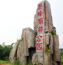 Cement plastic mountain Rockery stone large landscape stone outdoor water landscape mountain imitation stone concrete Rockery Garden sculpture