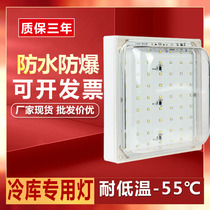 20W Cold storage special LED light 36V220V bathroom bathroom waterproof moisture-proof explosion-proof three anti-lamp cold storage bulb